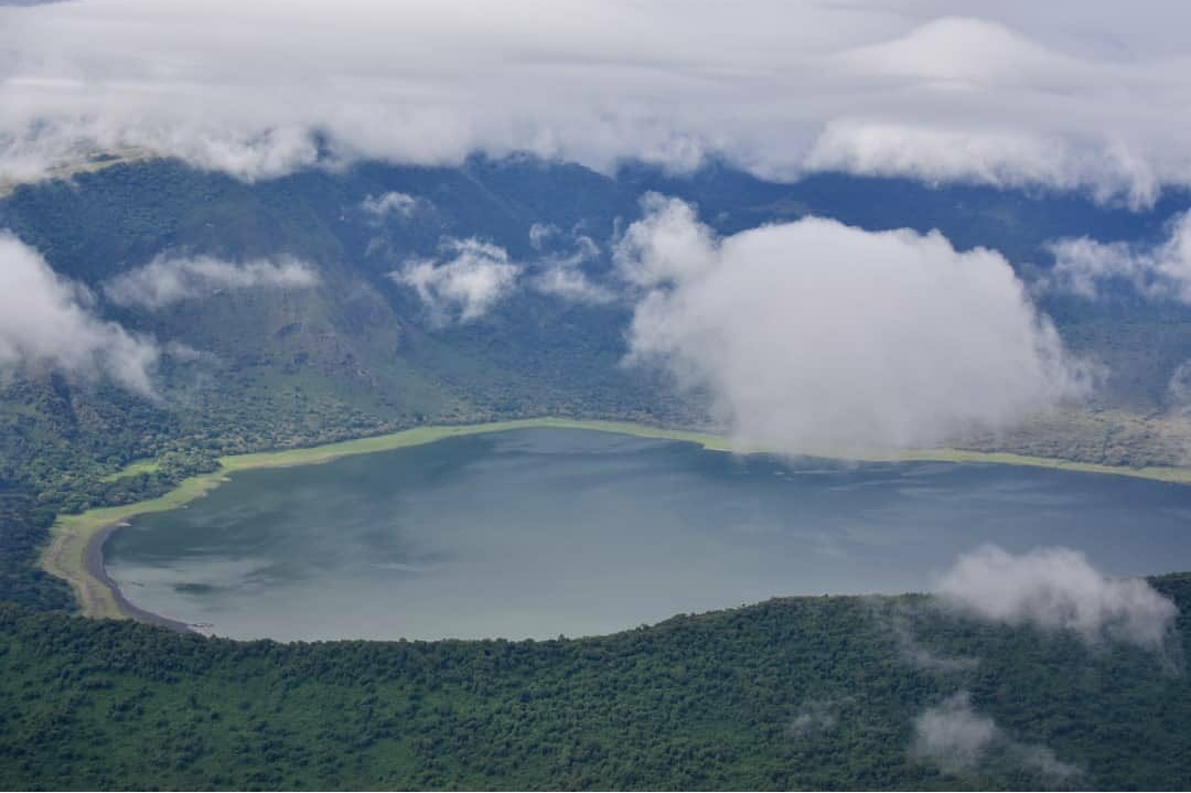 ngorongoro